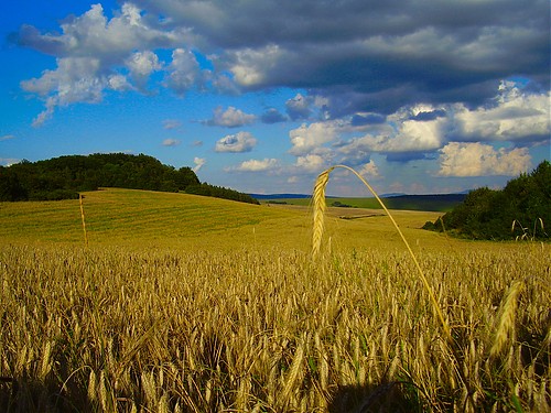 Słowackie wakacje